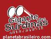 Gigante Das Surdinas - Porto Alegre Rs