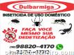 Dd Delta Do Brasil Comércio E Dedetização Ltda - Paulínia Sp