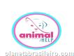 Clínica Veterinária Animal Help 24h - Cachoeirinha - Manaus Am