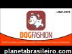 Dog Fashion - Carpina Pe