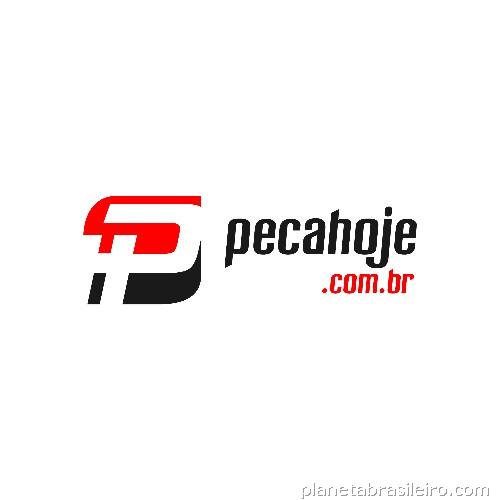 Peça Hoje - Comércio Especializadoem Peças De Carros Chineses: telefone ...