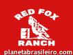 Haras Red Fox Ranch