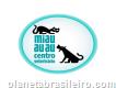 Miau Auau Centro Veterinário