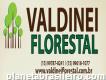 Madeireira Valdinei Florestal