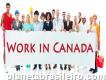 Viajar e trabalhar no exterior no Canadá com o Sandton Peak Hotel