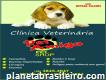 Clínica Veterinária e Pet shop Pet Amigo