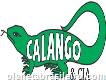 Calango Chaves