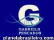 Gabriels Pescados - Fabricação Filetaria e Peixaria