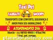 Táxi Pet Taubaté Snoopy