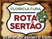 Floricultura Rota Sertão