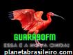 Rádio Guará90fm