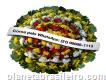 Floricultura entrega coroas de flores Itabirito