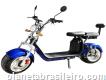 3000 Watts Newest fat Tyre Citycoco Electric Scoot